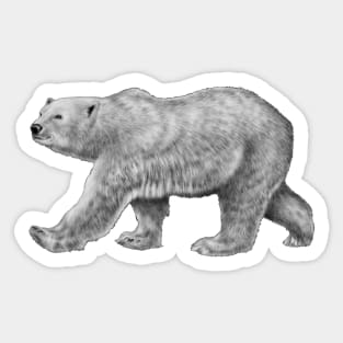 Polar Bear Sticker